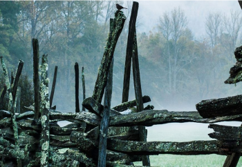 The Castle on the Cliff: Majestic, Magic, Manoir